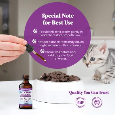 Special Breed L-Lysine Immune Support Chicken Flavored Liquid Cat Supplement