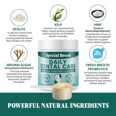 Show full view: Special Breed Daily Dental Care Powdered Dog Dental Supplement, 3.7-oz jar slide 3 of 9
