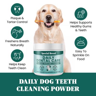 Show full view: Special Breed Daily Dental Care Powdered Dog Dental Supplement, 1.85-oz jar slide 4 of 9