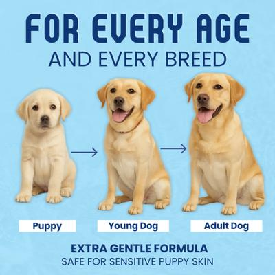 Show full view: Scrubby Tails Natural Oatmeal Lavender Scented Itchy Skin Relief Dog Shampoo, 16-fl oz bottle slide 7 of 8