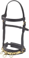 Camelot Leather Lunge Caveson Horse Training Aid