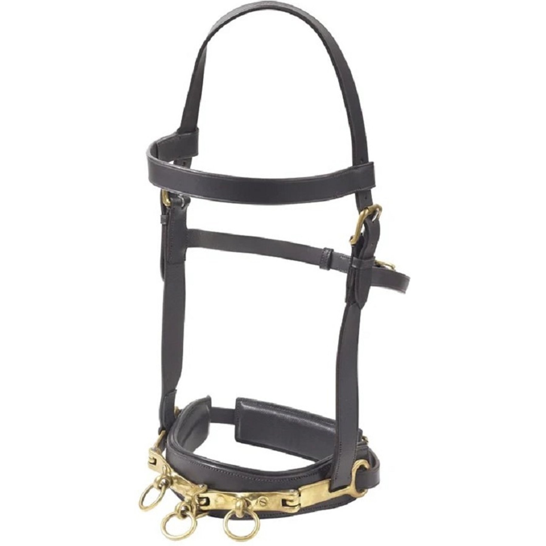 Camelot Leather Lunge Caveson Horse Training Aid