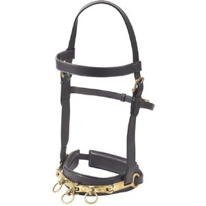 Camelot Leather Lunge Caveson Horse Training Aid