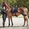 Show in main carousel: Catago FIR-Tech Training Horse Saddle Pad, Dressage 17 slide 2 of 3