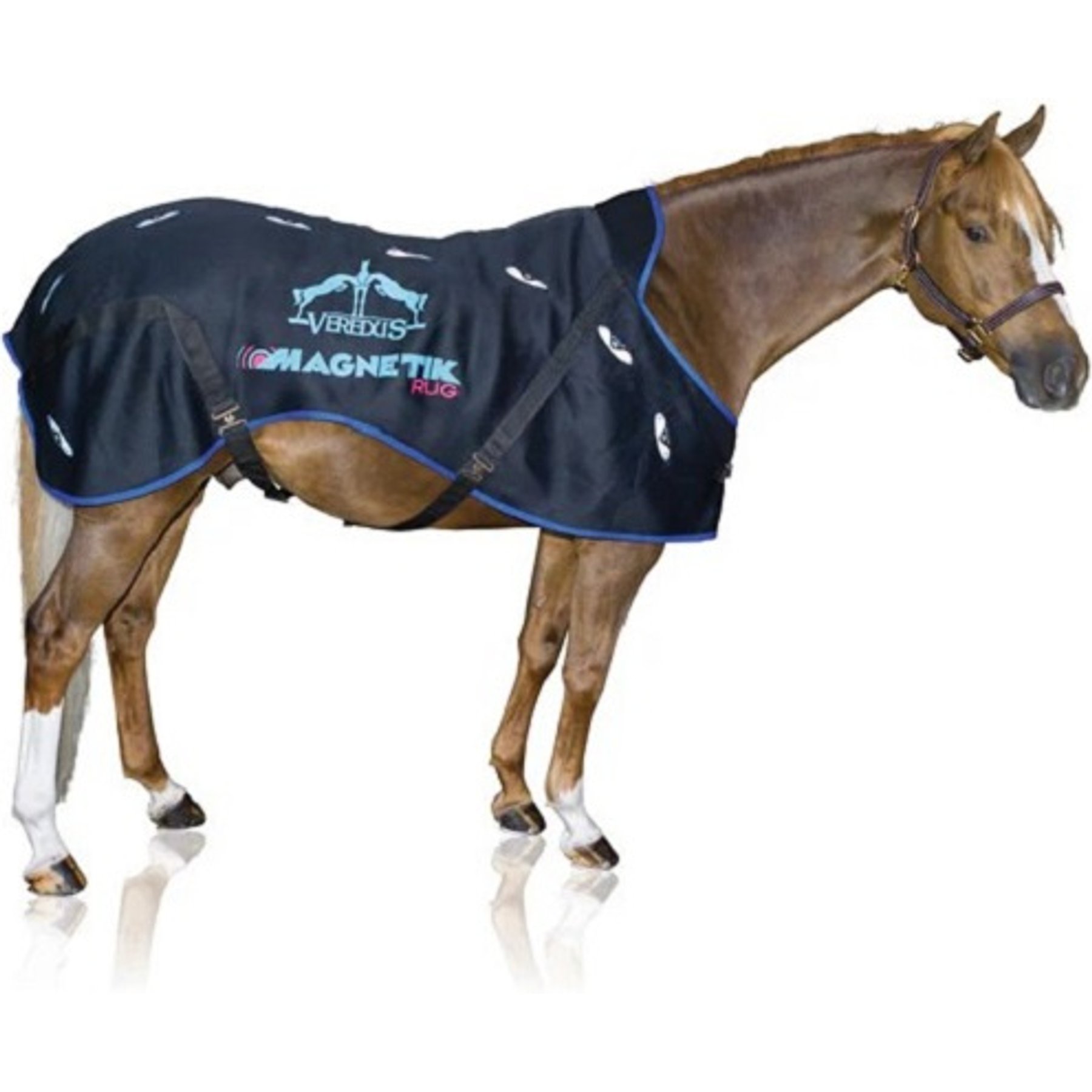 Veredus Magnetik Therapeutic Horse Sheet, 69 to 72-in