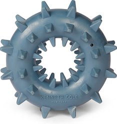 Kenneth Cole Spiked Tough Spiked Ring Dog Chew Toy, Blue slide 1 of 5