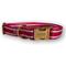 Show in main carousel: IZOD Pet Nylon Dog Collar & Leash Set, Red Stripe, Small: 10 to 16-in neck, 5/8-in wide slide 3 of 3