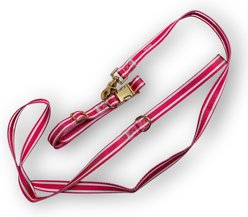 IZOD Pet Nylon Dog Collar & Leash Set, Red Stripe, Small: 10 to 16-in neck, 5/8-in wide