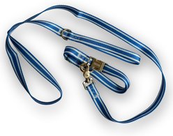 IZOD Pet Nylon Dog Collar & Leash Set, Blue Stripe, Medium: 14 to 22-in neck, 3/4-in wide