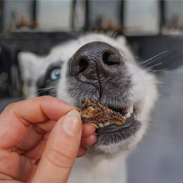 Show full view: Huntaway Goat Tripe Air-Dried Dog Treats, 3-oz bag slide 5 of 10