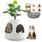 Show in main carousel: Coziwow Copod8 3-in-1 Hidden Cat Cave Condo with Plant & Scratchers, Medium, White slide 1 of 7