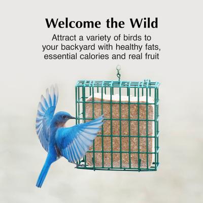 Show full view: C&S Orange Delight No Melt Suet Dough Wild Bird Food, case of 12 slide 4 of 12