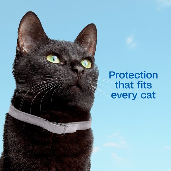 Show full view: Adams Plus Flea & Tick Breakaway Collar for Cats slide 4 of 10