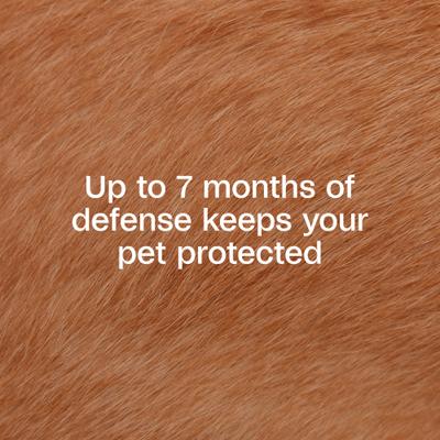 Show full view: Adams Plus Flea & Tick Collar for Dogs, Large slide 3 of 13