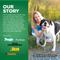 Show in main carousel: Brutus Broth Beef Bone Broth Powder Hip & Joint with Glucosamine On-the-Go Dog Food Topper, 5 count​ slide 8 of 12