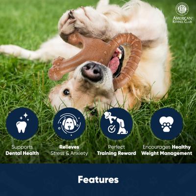 Show full view: American Kennel Club AKC Training Chicken Scented V-Ring Wood-Infused Dog Chew Toy slide 3 of 9