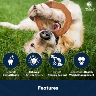 Show full view: American Kennel Club AKC Training Peanut Butter Scented Ring Wood-Infused Dog Chew Toy slide 3 of 6