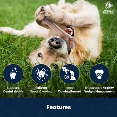 Show full view: American Kennel Club AKC Training Beef Scented Thin Bone Wood-Infused Dog Chew Toy slide 3 of 7