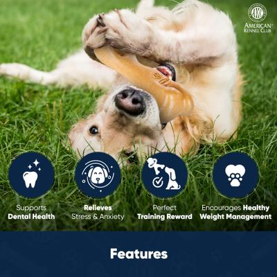 Show full view: American Kennel Club AKC Training Beef Scented Thick Bone Wood-Infused Dog Chew Toy slide 3 of 8