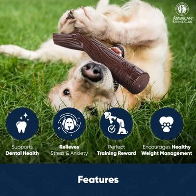 Show full view: American Kennel Club AKC Training Peanut Butter Scented Stick Wood-Infused Dog Chew Toy slide 3 of 8