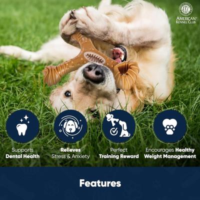 Show full view: American Kennel Club AKC Training Chicken Scented Wishbone Wood-Infused Dog Chew Toy slide 4 of 9