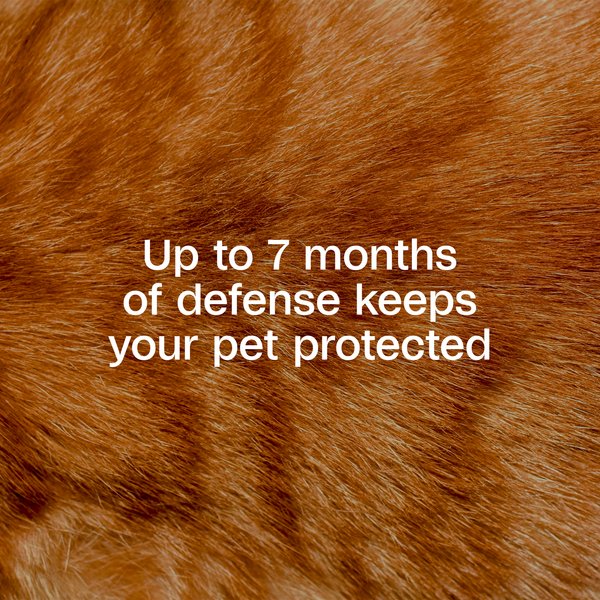 Show full view: Adams Plus Flea & Tick Breakaway Collar for Cats slide 3 of 10