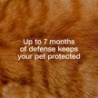 Show in main carousel: Adams Plus Flea & Tick Breakaway Collar for Cats slide 3 of 10