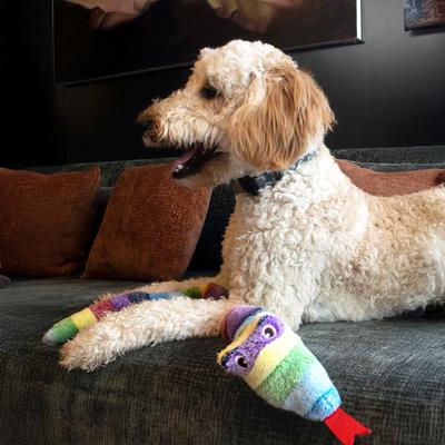 Show full view: Bow-Wow Pet Snake Squeaky Dog Plush Toy, 35-in slide 3 of 7