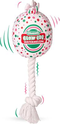 Show full view: Blow Pop Watermelon Scented Squeaky Dog Plush & Rope Toy, Jumbo slide 7 of 7