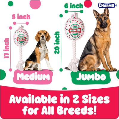 Show full view: Blow Pop Watermelon Scented Squeaky Dog Plush & Rope Toy, Jumbo slide 4 of 7