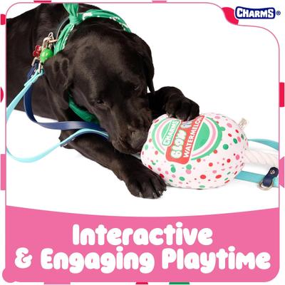 Show full view: Blow Pop Watermelon Scented Squeaky Dog Plush & Rope Toy, Jumbo slide 5 of 7