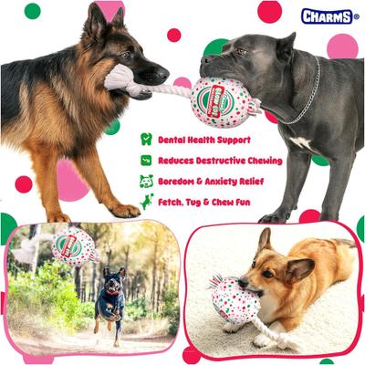 Show full view: Blow Pop Watermelon Scented Squeaky Dog Plush & Rope Toy, Jumbo slide 3 of 7