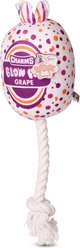 Blow Pop Grape Scented Squeaky Dog Plush & Rope Toy, Jumbo