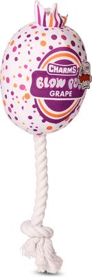 Show full view: Blow Pop Grape Scented Squeaky Dog Plush & Rope Toy, Medium slide 9 of 9