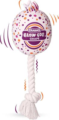 Show full view: Blow Pop Grape Scented Squeaky Dog Plush & Rope Toy, Medium slide 6 of 9