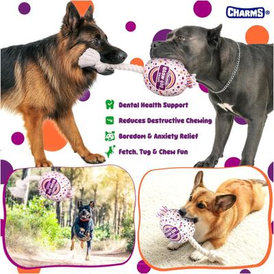 Show full view: Blow Pop Grape Scented Squeaky Dog Plush & Rope Toy, Medium slide 4 of 9