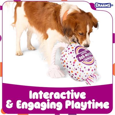 Show full view: Blow Pop Grape Scented Squeaky Dog Plush & Rope Toy, Medium slide 3 of 9