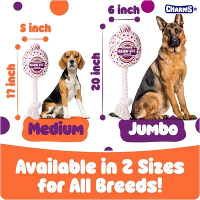 Show full view: Blow Pop Grape Scented Squeaky Dog Plush & Rope Toy, Medium slide 5 of 9