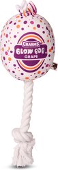Blow Pop Grape Scented Squeaky Dog Plush & Rope Toy, Medium