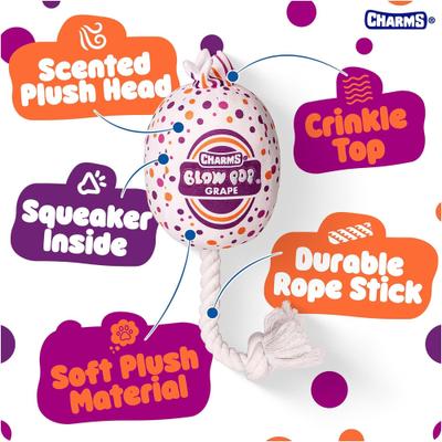 Show full view: Blow Pop Grape Scented Squeaky Dog Plush & Rope Toy, Medium slide 2 of 9