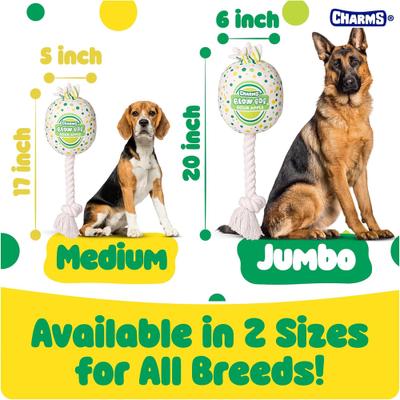 Show full view: Blow Pop Apple Scented Squeaky Dog Plush & Rope Toy, Medium slide 5 of 8