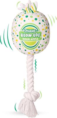 Show full view: Blow Pop Apple Scented Squeaky Dog Plush & Rope Toy, Medium slide 8 of 8