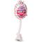 Show in main carousel: Blow Pop Cherry Scented Squeaky Dog Plush & Rope Toy, Jumbo slide 1 of 9