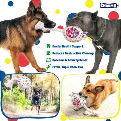 Show full view: Blow Pop Cherry Scented Squeaky Dog Plush & Rope Toy, Medium slide 5 of 10