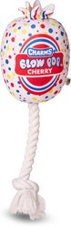 Blow Pop Cherry Scented Squeaky Dog Plush & Rope Toy, Medium