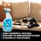 Show in main carousel: Simple Green Dog & Cat Stain & Odor Remover, 32-fl oz bottle slide 5 of 10