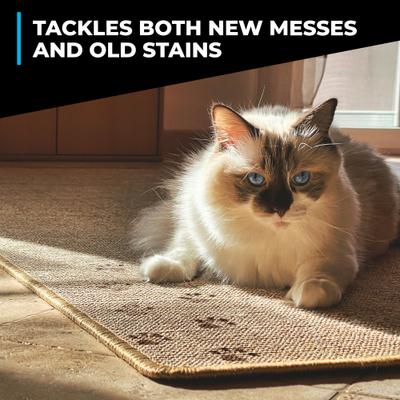 Show full view: Simple Green Dog & Cat Stain & Odor Remover, 32-fl oz bottle slide 6 of 10