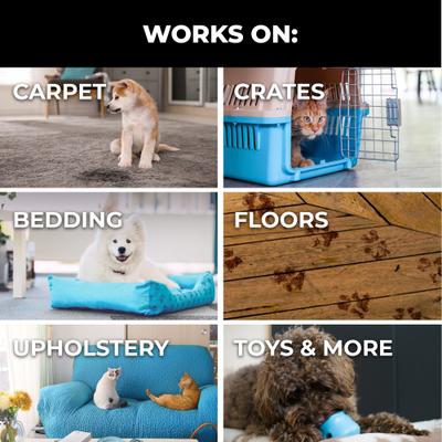 Show full view: Simple Green Dog & Cat Stain & Odor Remover, 32-fl oz bottle slide 4 of 10