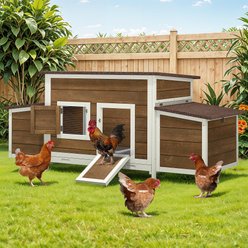 Wooflex 67-In Wooden Chicken Coop with Weatherproof Roof & 2 Nesting Boxes, 2 to 4 Chicken Capacity, Brown