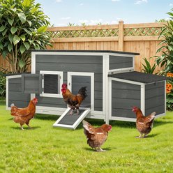 Wooflex 67-In Wooden Chicken Coop with Weatherproof Roof & 2 Nesting Boxes, 2 to 4 Chicken Capacity, Grey
